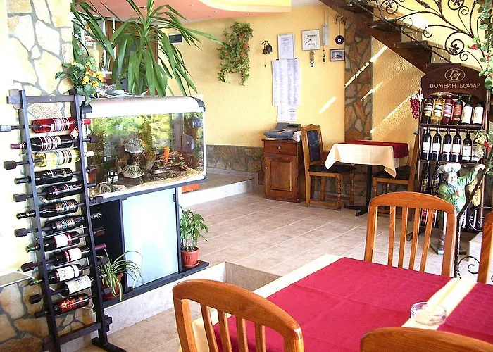 Boruna 3* سوزوبول