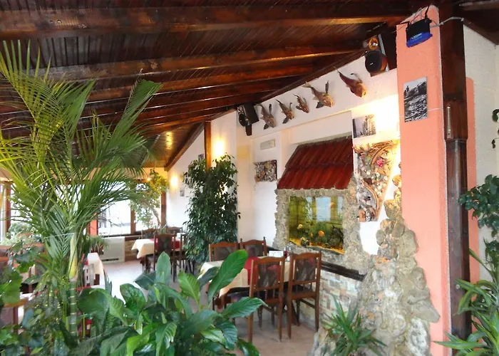 Boruna سوزوبول