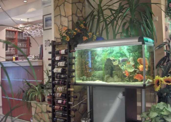 بيت ضيافة Boruna